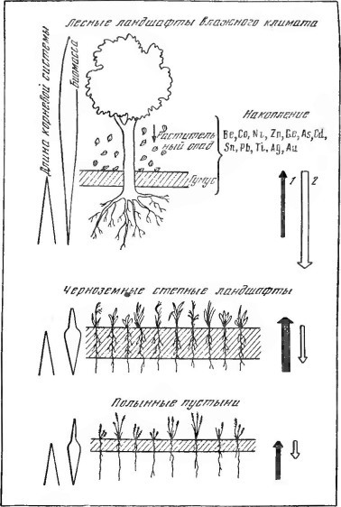 Биокосные системы Земли i_008.jpg