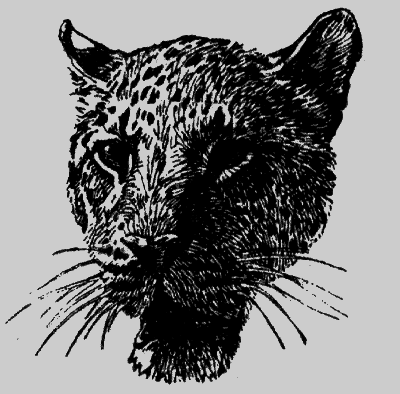 Леопард из Рудрапраяга (с илл.) i_001.png