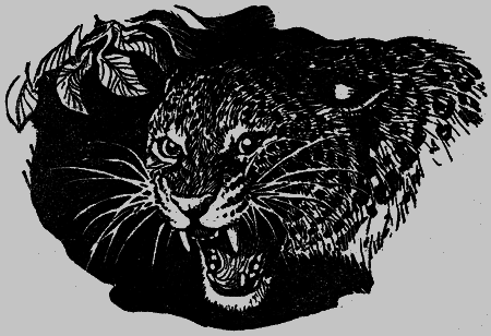 Леопард из Рудрапраяга (с илл.) i_020.png