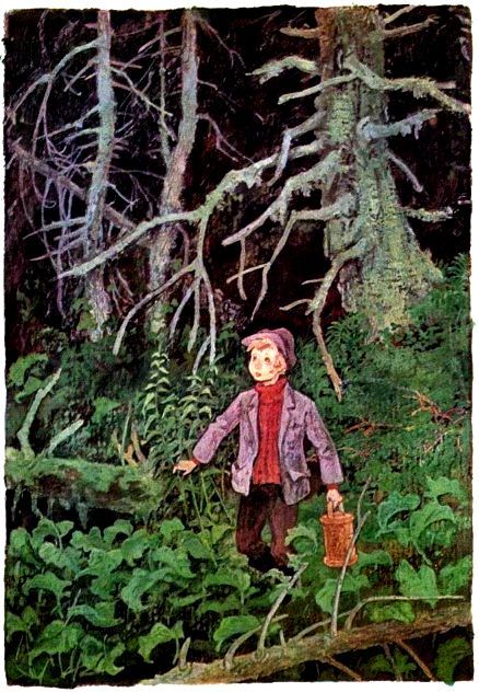 Почему мальчик заблудился в тайге. Мальчик заблудился в лесу. Мальчик в лесу. Заблудился в тайге.