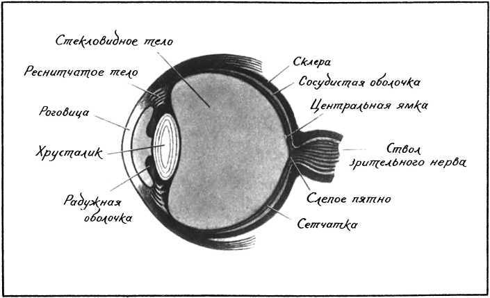 Девять цветов радуги i_023.jpg