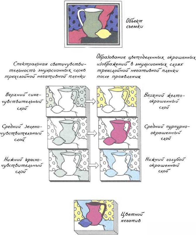 Девять цветов радуги i_182.jpg