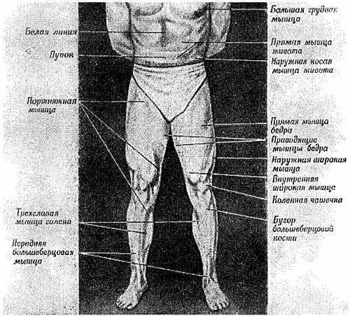 Спортивный массаж _98.jpg