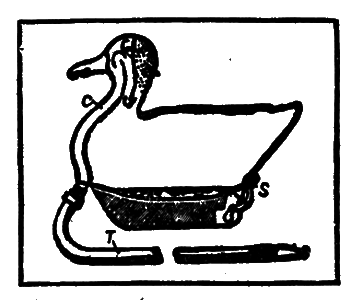 Всемирный следопыт, 1928 № 06 i_048.png