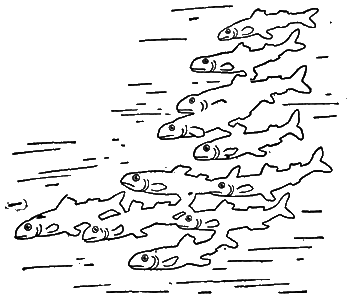 Всемирный следопыт, 1928 № 12 i_026.png