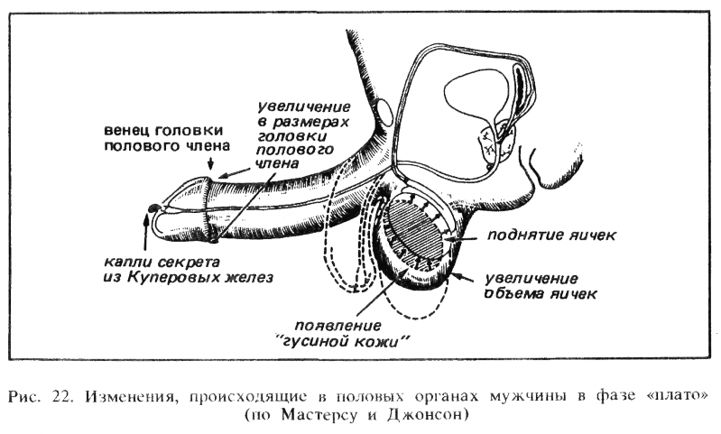 Искусство любви _23.png