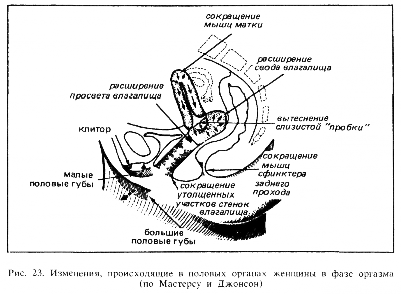 Искусство любви _24.png