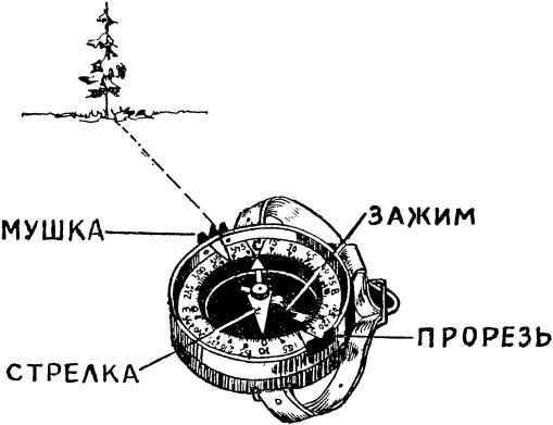 Мы читаем «Зеленую книгу» i_004.jpg