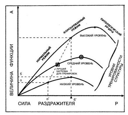 Преодоление старости c1_image002.jpg