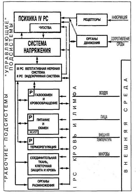 Преодоление старости c1_image003.jpg