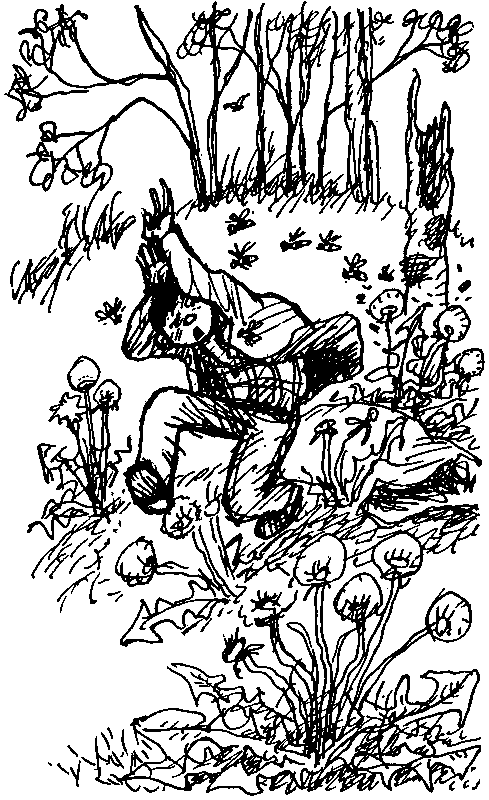 Целебный камень (сборник) pic_45.png