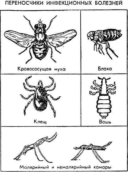 Как действовать в условиях применения ядерного, химического и бактериологического оружия
(Пособие солдату и матросу) i_025.jpg