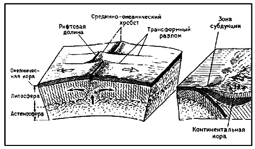 Озонные дыры и гибель человечества? i_025.png