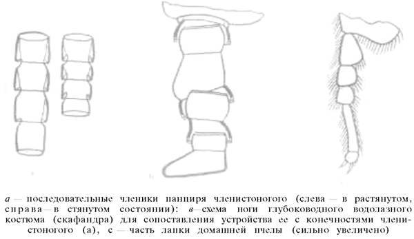 О ловкости и ее развитии any2fbimgloader31.jpeg