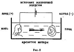 Воспитание в утробе матери, или рассказ об упущенных возможностях _2.png