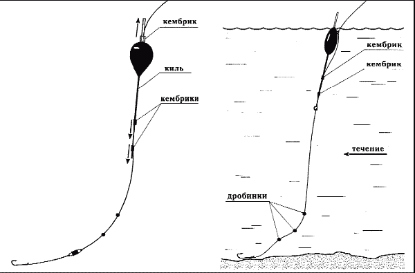 Справочник рыболова i_062.png