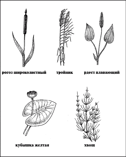 Справочник рыболова i_089.png