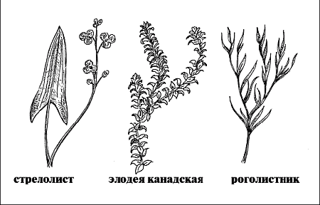 Справочник рыболова i_090.png