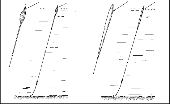 Справочник рыболова i_094.png