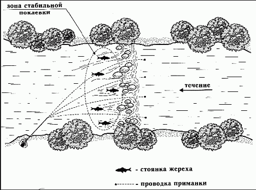 Клёвая книга современного спиннингиста i_042.png