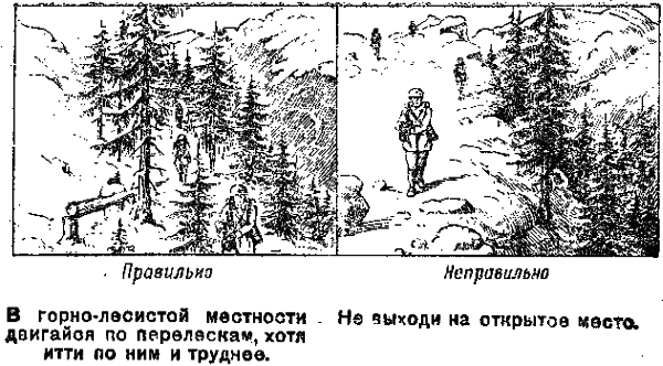 Памятка разведчику по маскировке any2fbimgloader21.png