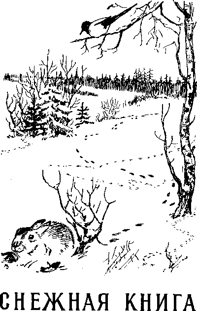 Снежная книга Snejn001_.png