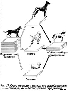 Православное мировоззрение и современное естествознание fig.17.jpg