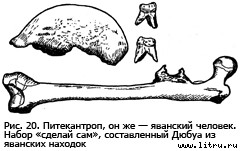 Православное мировоззрение и современное естествознание fig.20.jpg