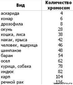 Православное мировоззрение и современное естествознание table2.jpg