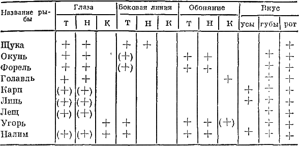 Секреты успеха (Записки рыболова) i_002.png