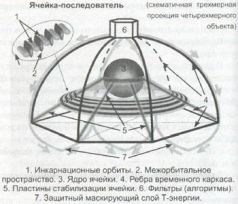 Книга Живы pic_7.jpg