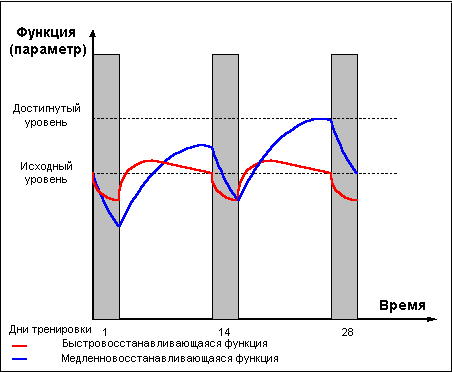 Думай! Или 'Супертренинг' без заблуждений any2fbimgloader16.png