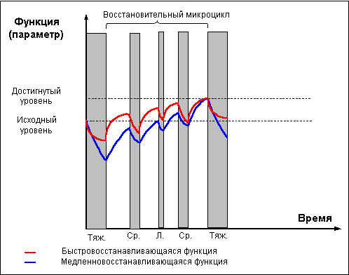 Думай! Или 'Супертренинг' без заблуждений any2fbimgloader18.png