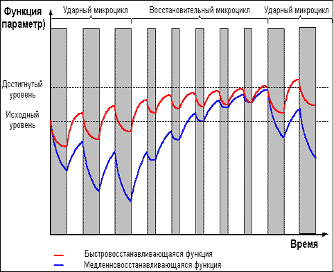 Думай! Или 'Супертренинг' без заблуждений any2fbimgloader19.png