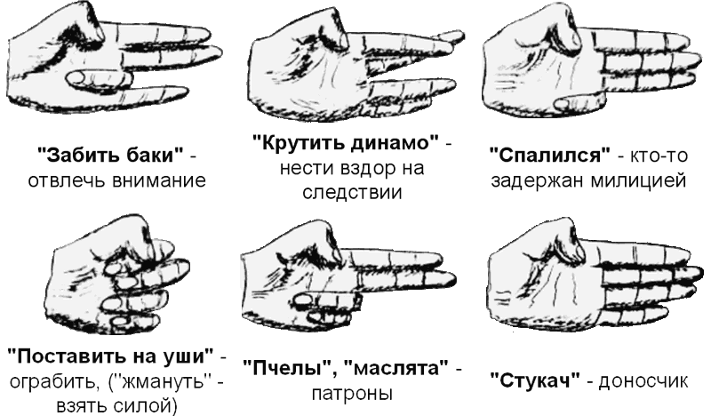 Зоновские термины. Понятия на блатном жаргоне.