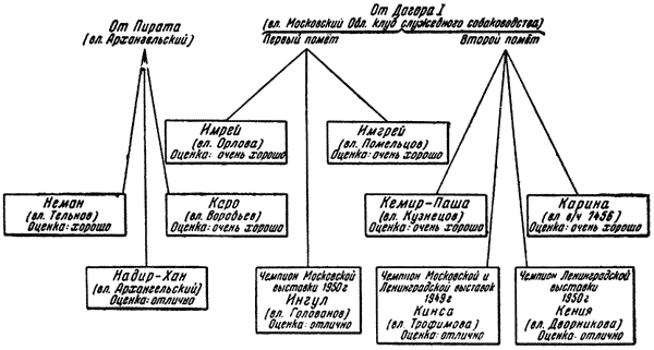 Племенное дело в служебном собаководстве i_108.png