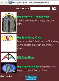 Things my girlfriend and I have argued about (online version) kites.png