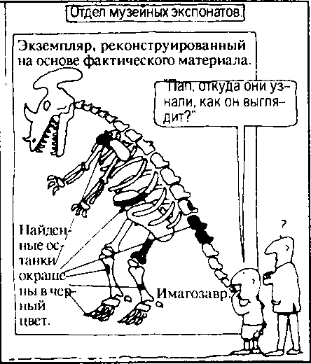 Кен Хэм Эндрю Снеллинг Карл Вилэнд КНИГА ОТВЕТОВ Ответы на 12 наиболее часто задаваемых вопросов о книге бытия, творении и эволюции i_02.png