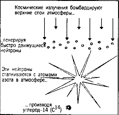 Кен Хэм Эндрю Снеллинг Карл Вилэнд КНИГА ОТВЕТОВ Ответы на 12 наиболее часто задаваемых вопросов о книге бытия, творении и эволюции i_21.png