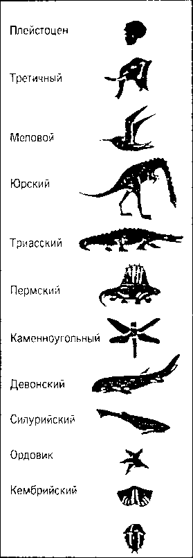 Кен Хэм Эндрю Снеллинг Карл Вилэнд КНИГА ОТВЕТОВ Ответы на 12 наиболее часто задаваемых вопросов о книге бытия, творении и эволюции i_55.png