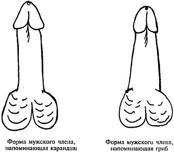 Как увеличить размеры мужского полового члена i_021.jpg