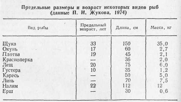 Ловля рыбы в водохранилищах i_043.jpg