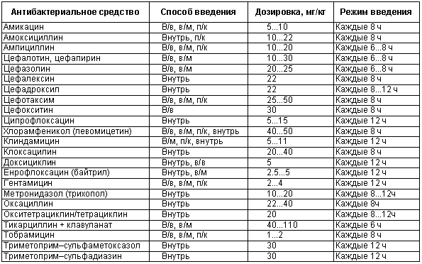 Физиология размножения и репродуктивная патология собак i_042.png