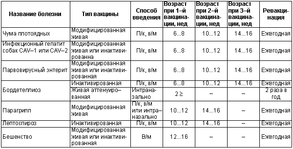 Физиология размножения и репродуктивная патология собак i_043.png