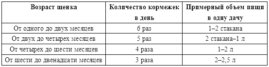 Меню щенку немецкой овчарки. Рацион кормления щенка немецкой овчарки 1.5 месяца. Таблица кормления щенок овчарки 3 месяца. Рацион питания щенка немецкой овчарки 3 месяца. Рацион питания месячного щенка немецкой овчарки.