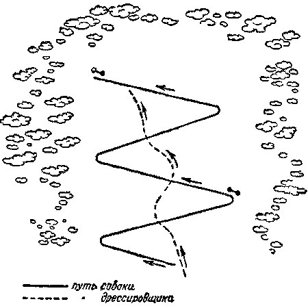 Дрессировка служебных собак i_041.png