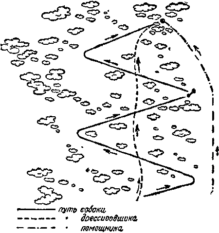 Дрессировка служебных собак i_042.png