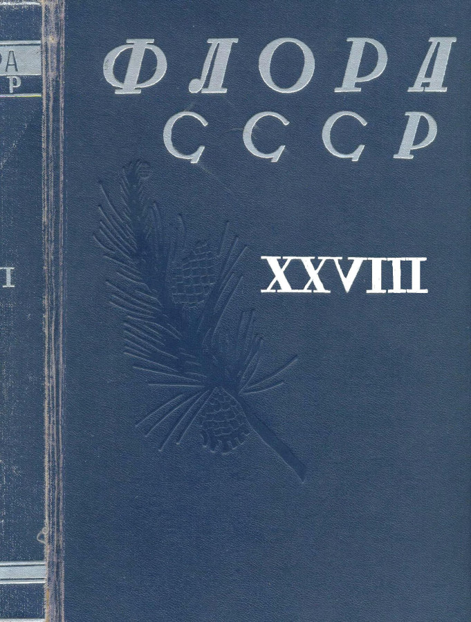 Автор 28. Флора СССР - 1934-1964. Флора СССР книга. Флора СССР В 30 Т. Флора СССР 3 том.